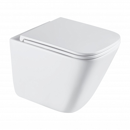 Подвесной унитаз безободковый Terminus Ватикан Monolit 490х340 белый Норильск - фото 2