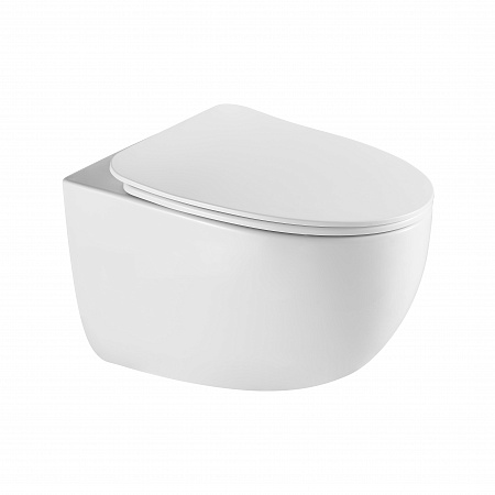 Подвесной унитаз безободковый Terminus Енисей Monolit 560х390 белый Норильск - фото 2